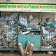 Plastik-Müll wird auch in Israel reichlich produziert
