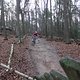 IMG 1191