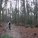 IMG 1225