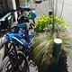 TransVerdon2016 (257)