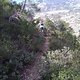 IMG-20170307-WA0009