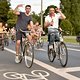 Critical Mass 1708 7115b