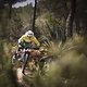 chasing-trail-ibiza-scott-sports-ActionImage-2018-bike-L11A062010