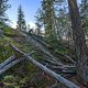BC Sea to Sky - PHD