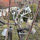 Winterpokal-Aktivität