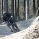 IMG 8986