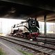 IMG 3208