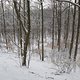 IMG 2671