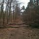 trails