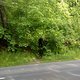 DSC00193