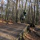 IMG 1916