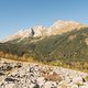 IMG 0555