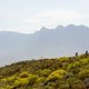 Riders climb above Slanghoek during stage 4 of the 2021 Absa Cape Epic Mountain Bike stage race from Saronsberg in Tulbagh to CPUT in Wellington, South Africa on the 21th October 2021

Photo by Gary Perkin/Cape Epic

PLEASE ENSURE THE APPROPRIATE CRE