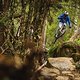 Brook Macdonald participates at Red Bull Hardline in Maydena Bike Park, Australia on February 20th, 2024. // Dan Griffiths / Red Bull Content Pool // SI202402210614 // Usage for editorial use only //
