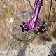 L1000028 (MTB-News)
