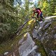 BC Whistler - A Rockwork Organge