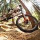Andi-Kolb-Blog-9807