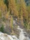 Dolomiten 1012 67