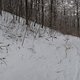 IMG 2664