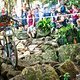 Greg Minnaar