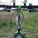 Bianchi Ragno Pholcus 006