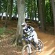 IMG 5929