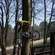 Bike Beerfelden P 231