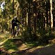 Braunlage Süd DH