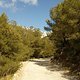 IMG 20180304 153608
