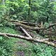 Sturmschäden auf Trails am Hochrhein