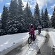 IMG 7324