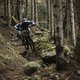 Im Vergleich zum Vorgänger ist das neue Rallon deutlich abfahrtslastiger geworden und weniger agil.