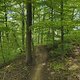 Gratis Wurzeltrail