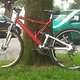 IMG 0112 ORG