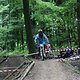 IMG 5249