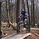 Bike Beerfelden P 216