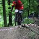 IMG 5304
