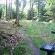 Eselsweg-Trail