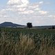 Ziel (Landeskrone) im Blick