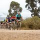 Riders during stage 4 of the 2022 Absa Cape Epic Mountain Bike stage race from Elandskloof in
Greyton to Elandskloof in Greyton, South Africa on the 24th March 2022. Photo Sam Clark/Cape Epic