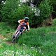 IMG 0030