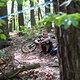 IMG 4908
