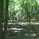 IMG 0050