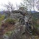 SDC18759 kl