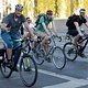 Critical Mass 1706 5049a