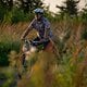 Sunset31 (MTB-News)