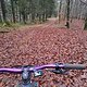Fahrt am Nachmittag