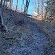 Lauf Zoller Horn