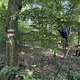 IMG 1552