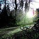 mix IMG 0746